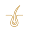 Service icon